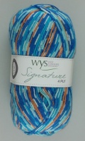 WYS - Signature 4 Ply - Country Birds - 844 Kingfisher